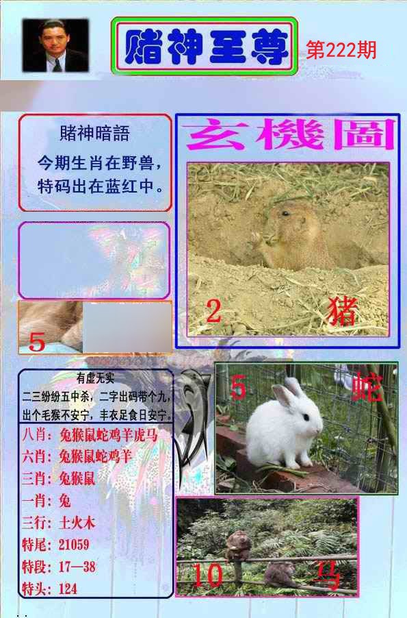 至尊报