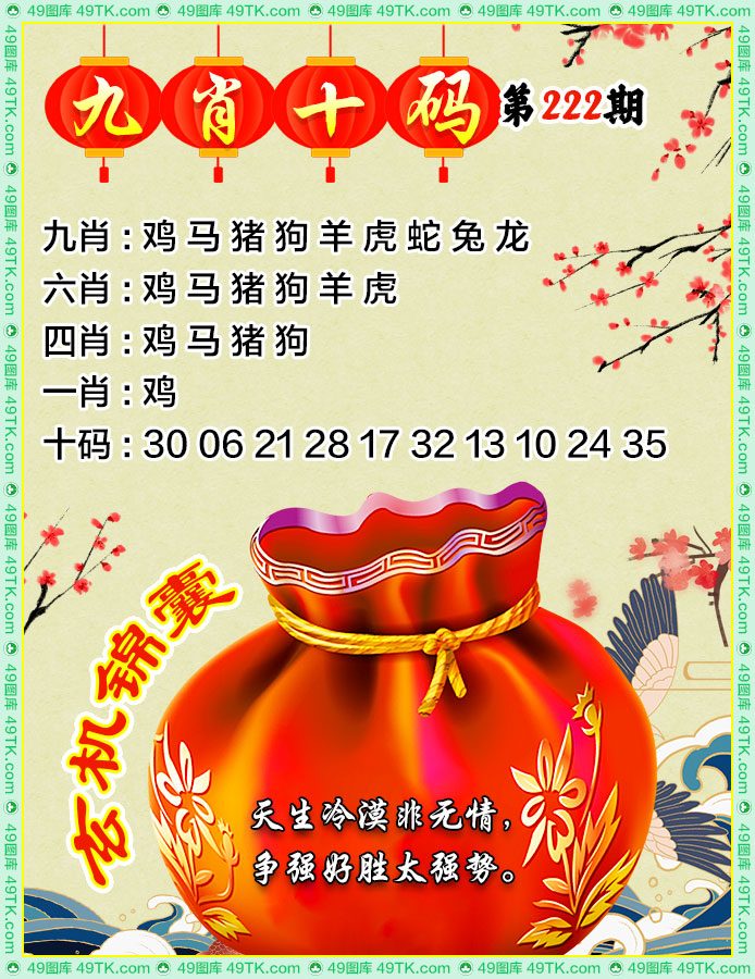 九肖十码
