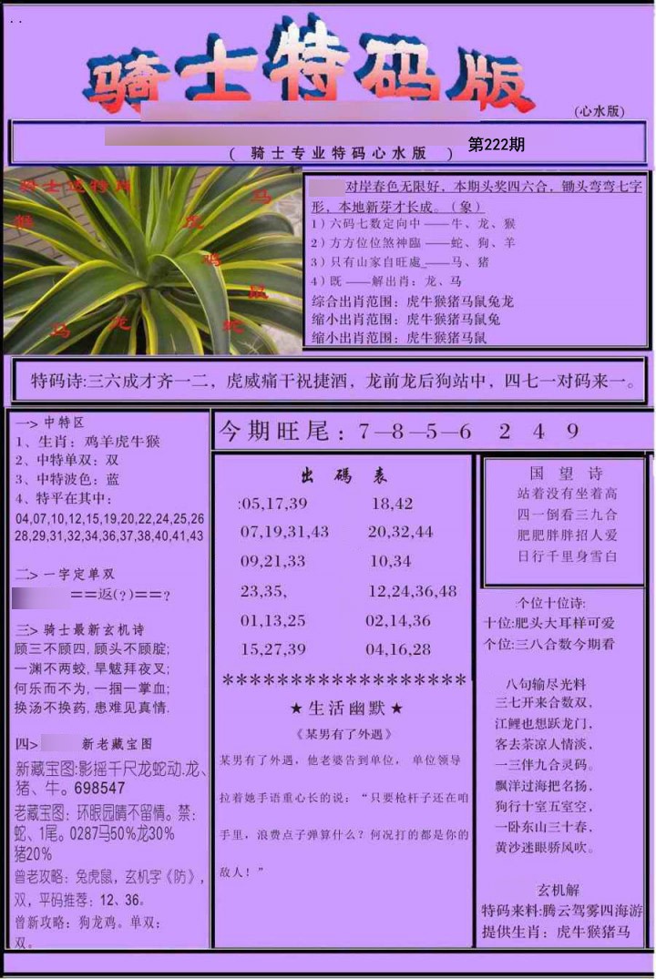 骑士特别