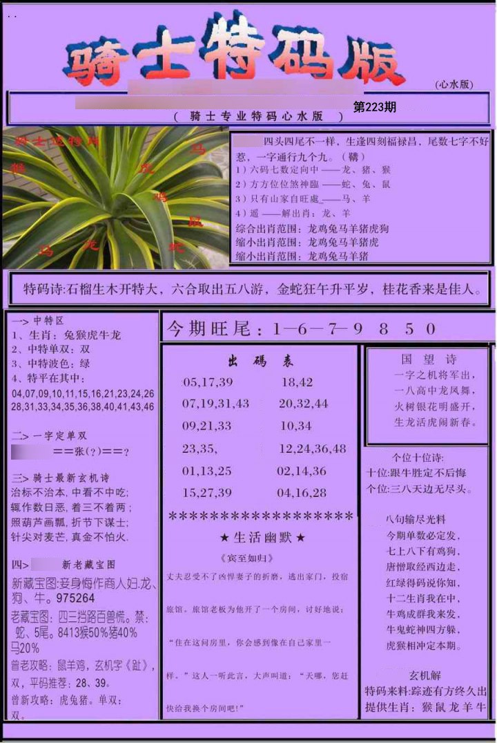 骑士特别