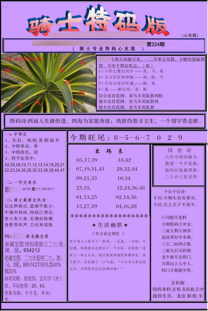 骑士特别