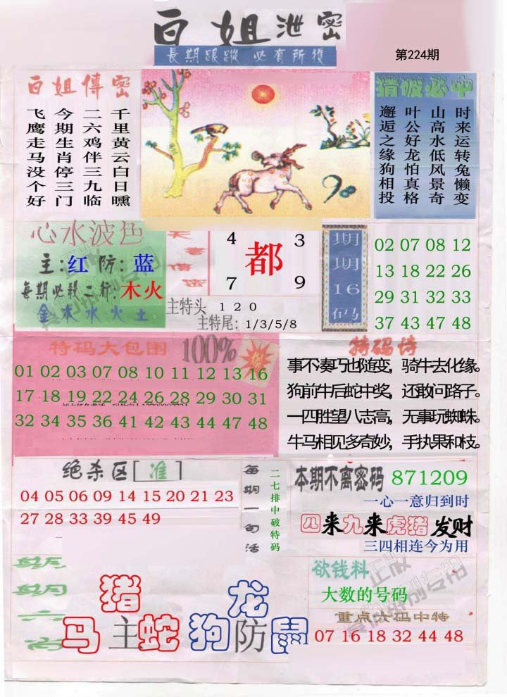 白姐泄密