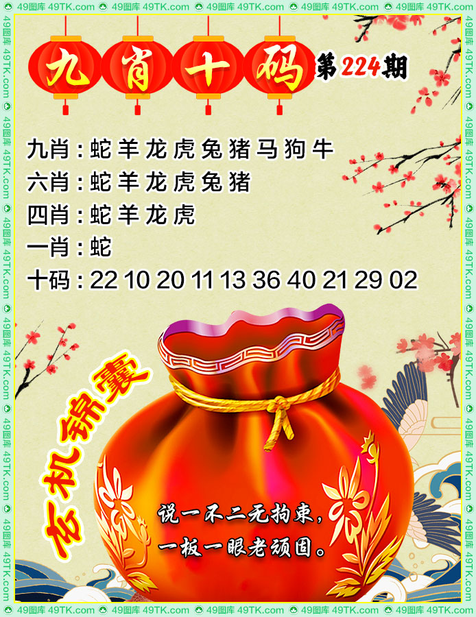 九肖十码