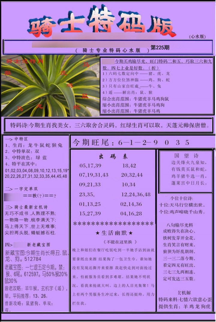 骑士特别