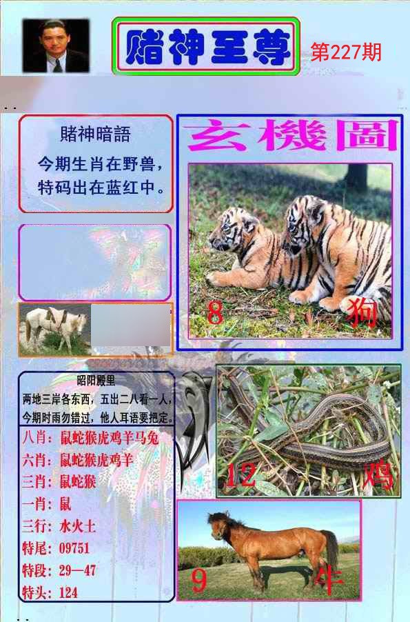 至尊报