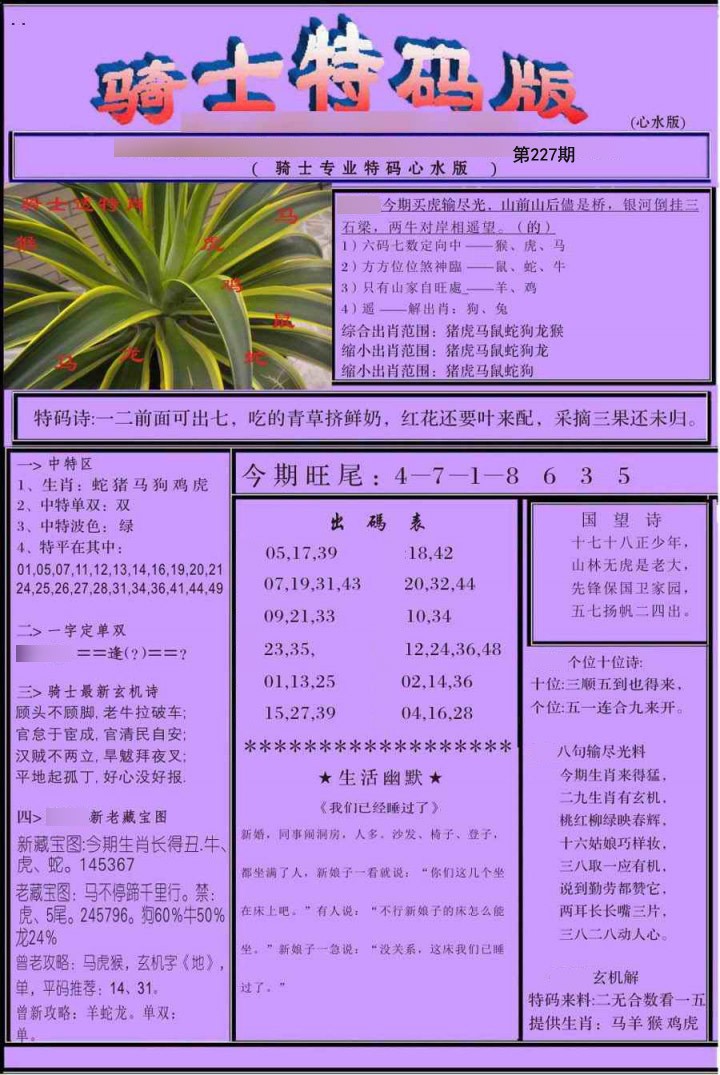 骑士特别