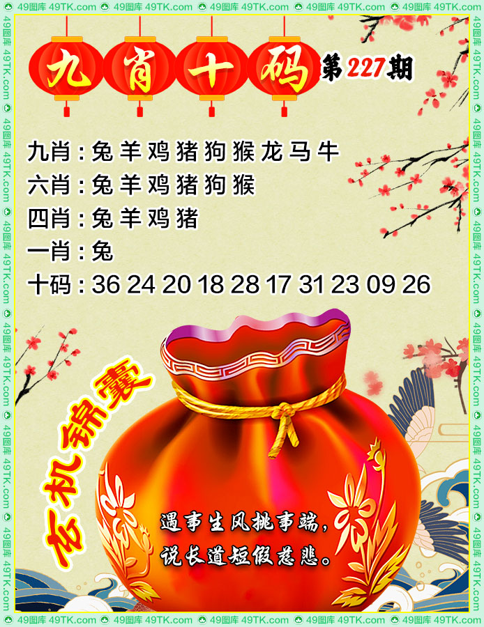 九肖十码