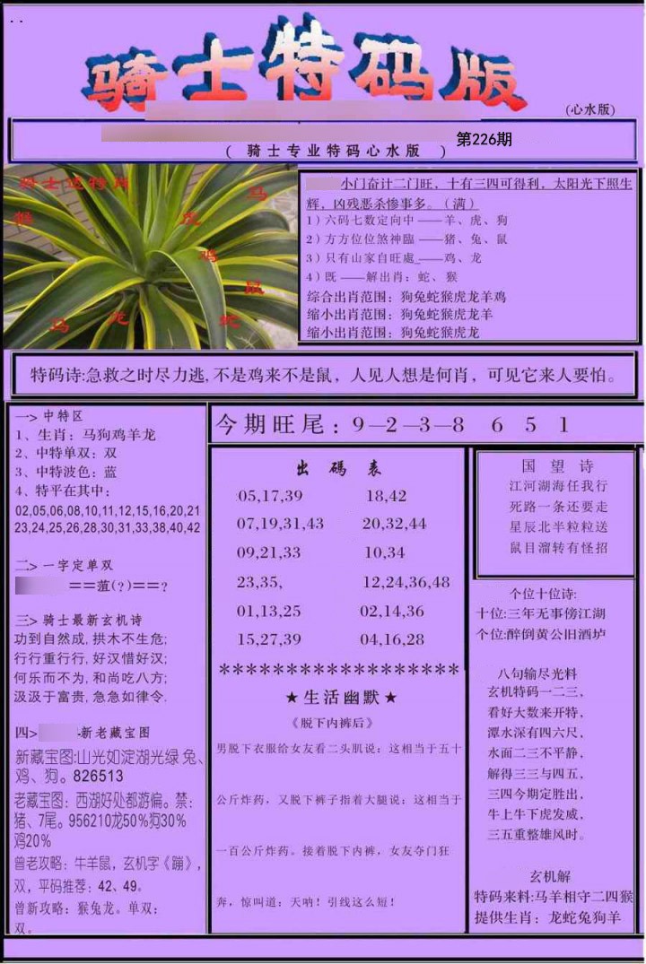 骑士特别