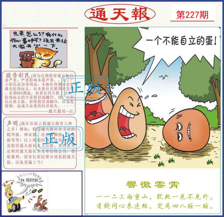通天报