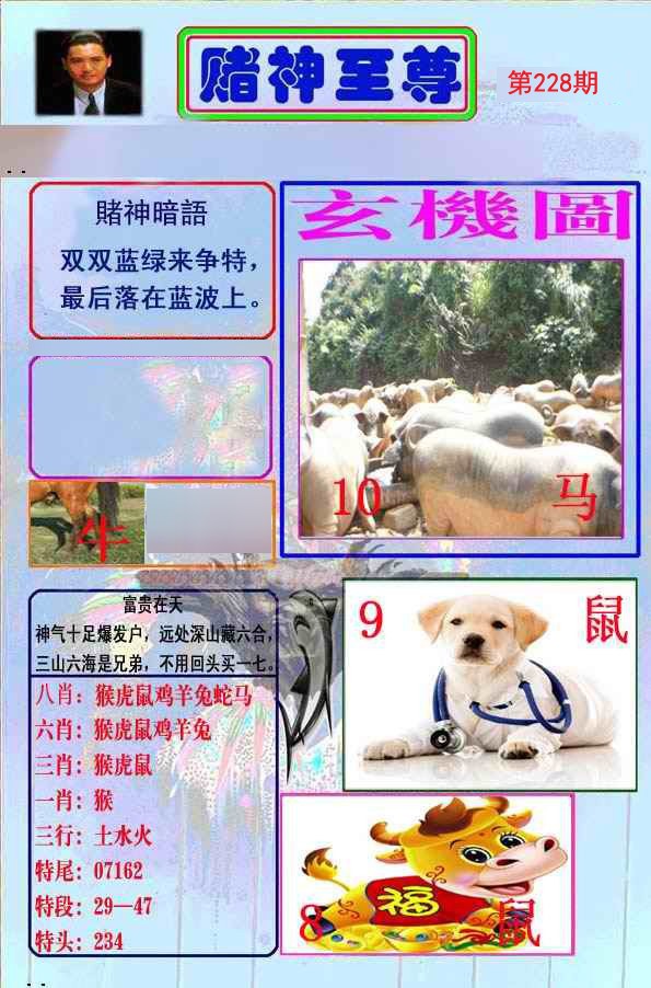 至尊报