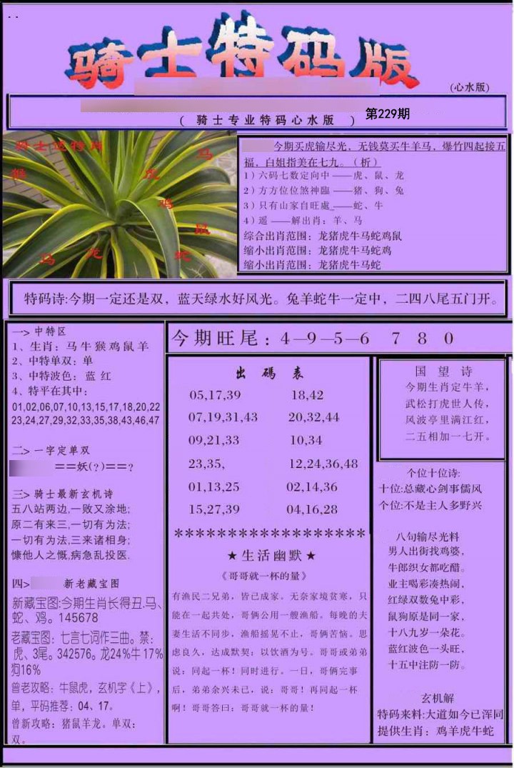 骑士特别
