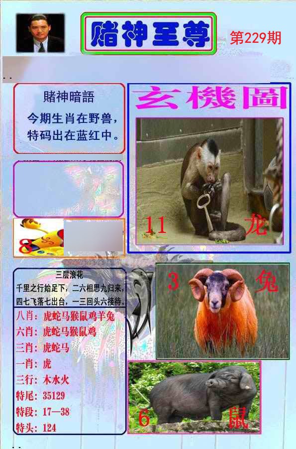 至尊报