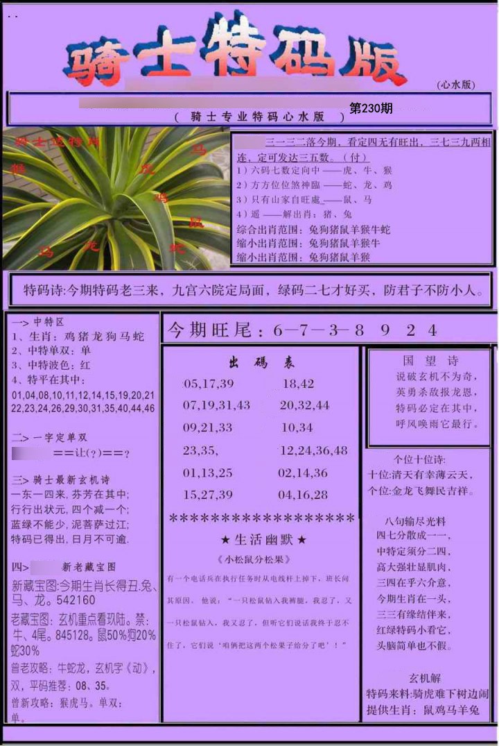 骑士特别