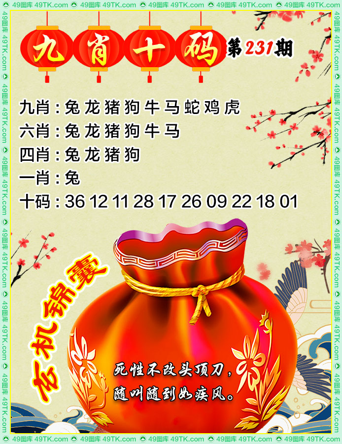 九肖十码