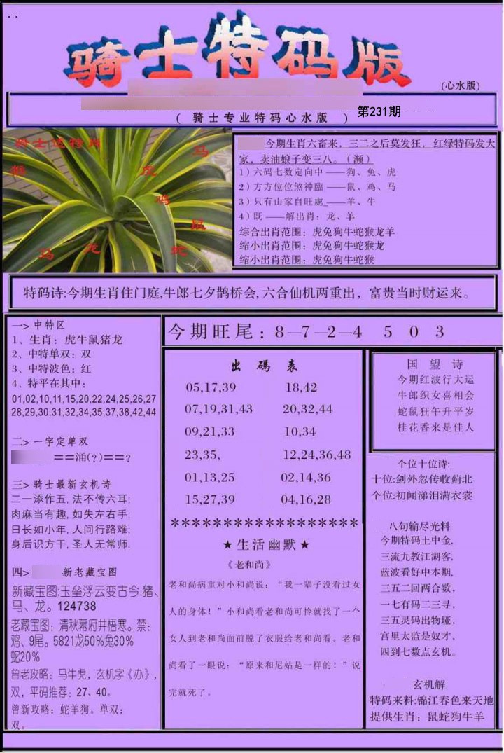 骑士特别