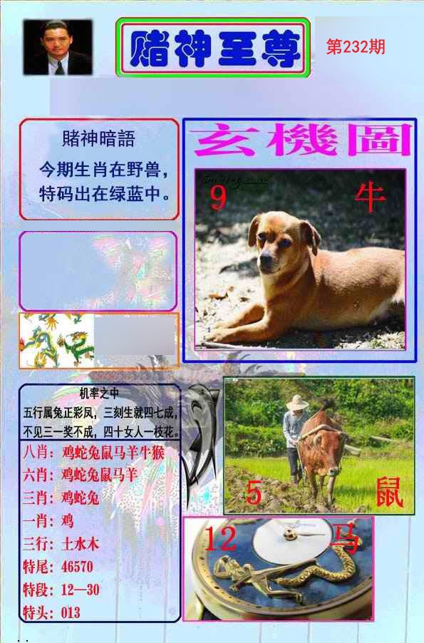 至尊报