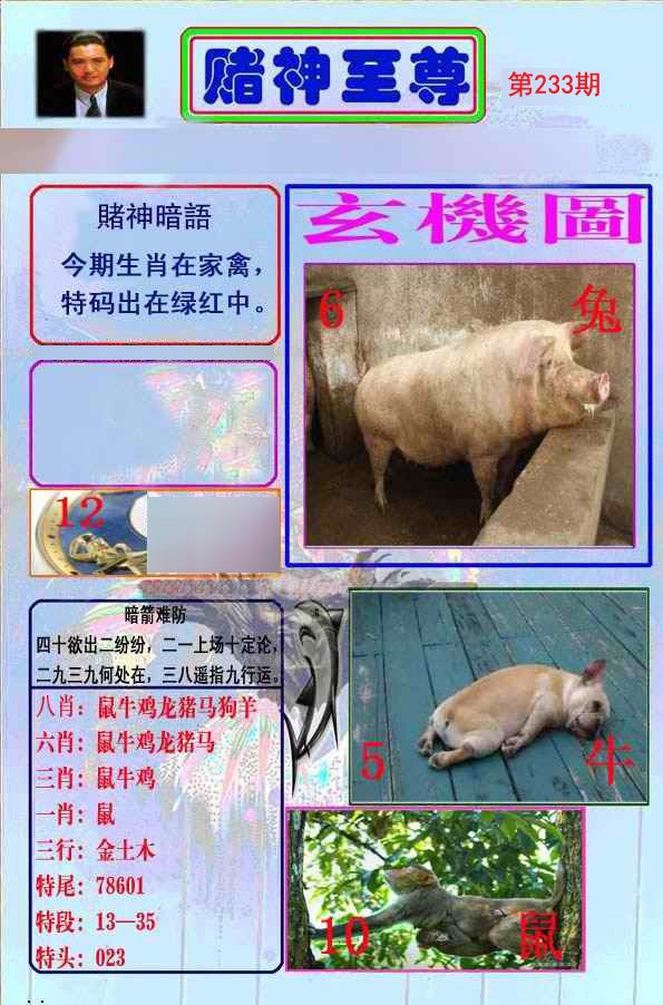 至尊报