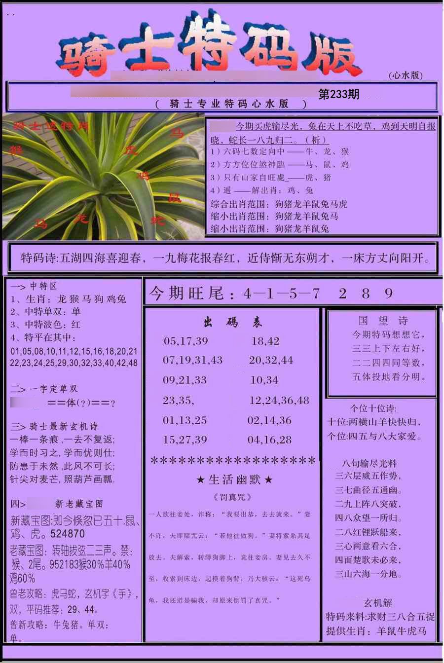 骑士特别