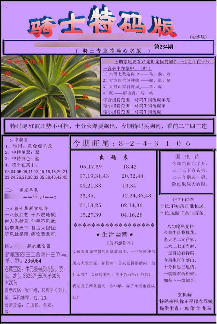 骑士特别