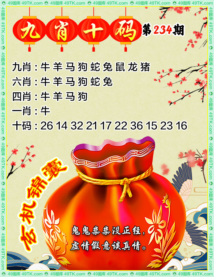 九肖十码