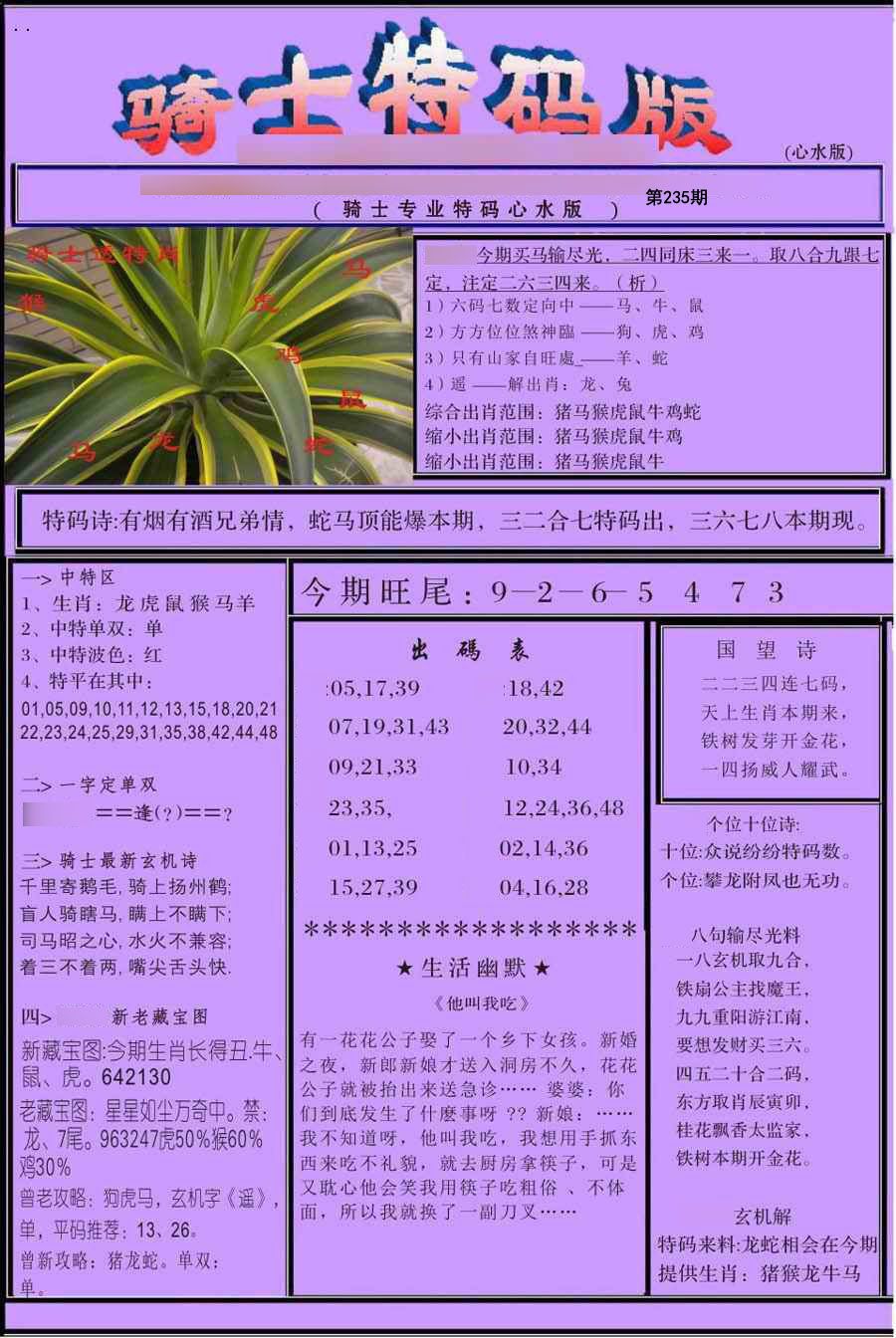 骑士特别