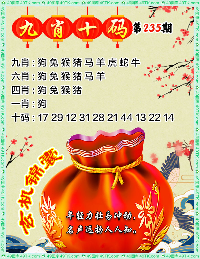 九肖十码