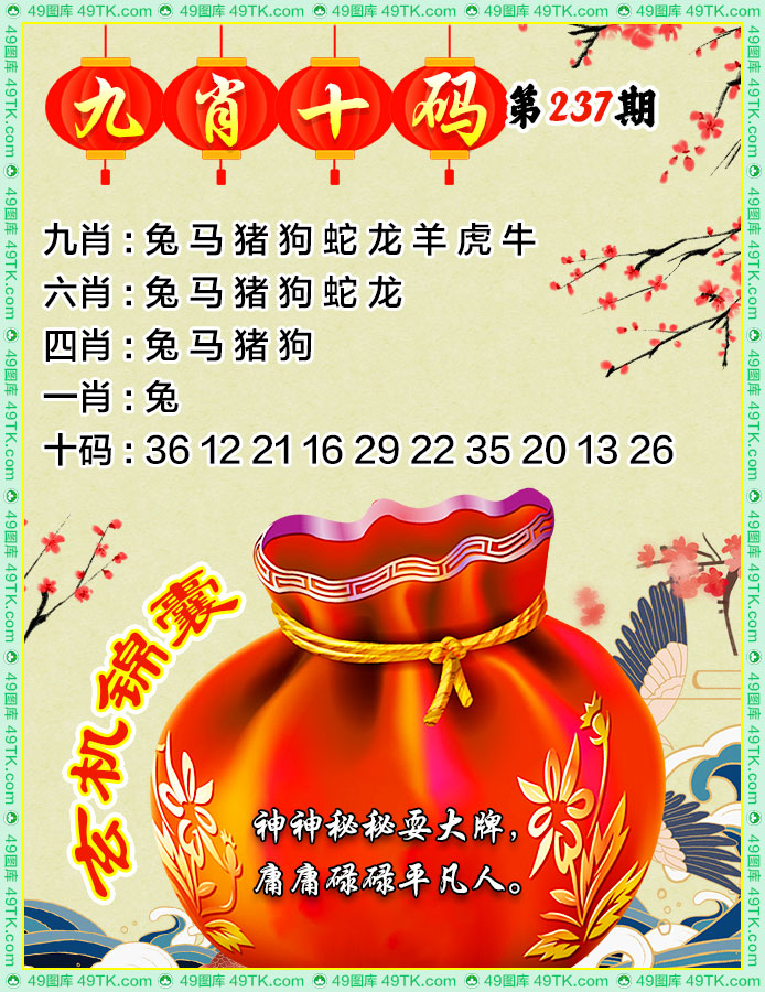 九肖十码