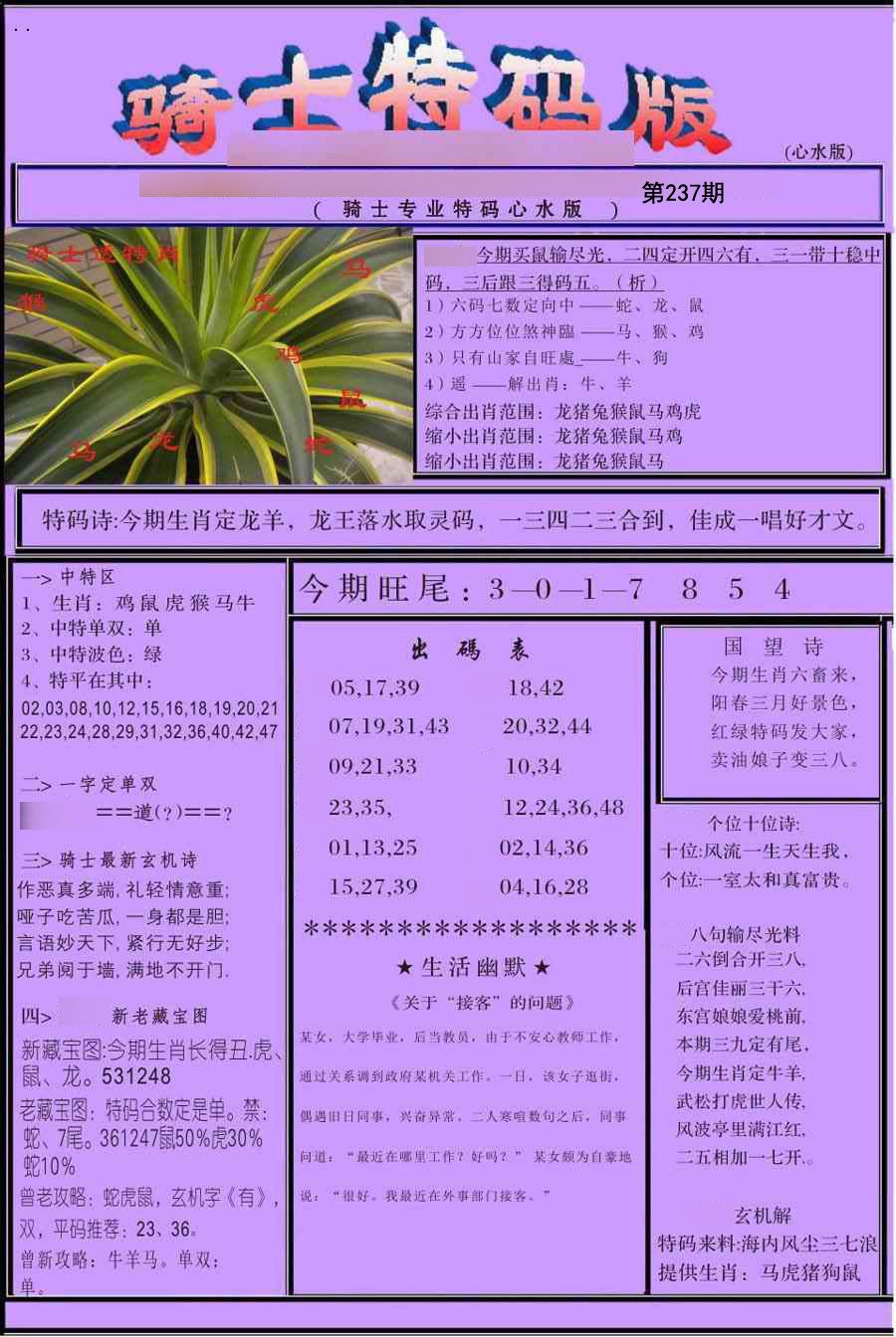 骑士特别
