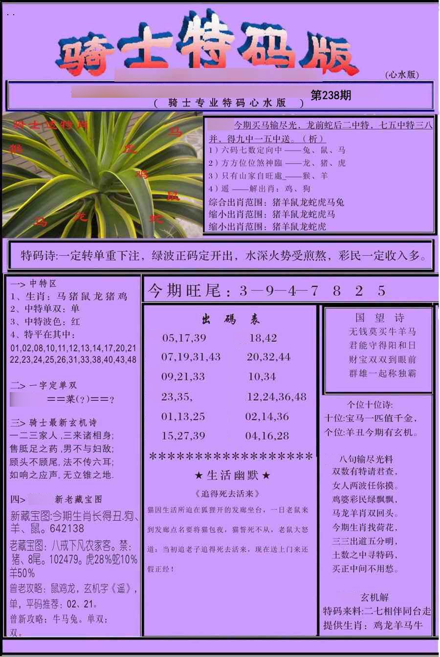 骑士特别