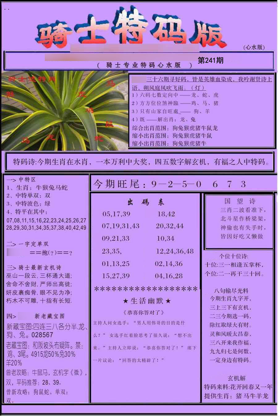 骑士特别