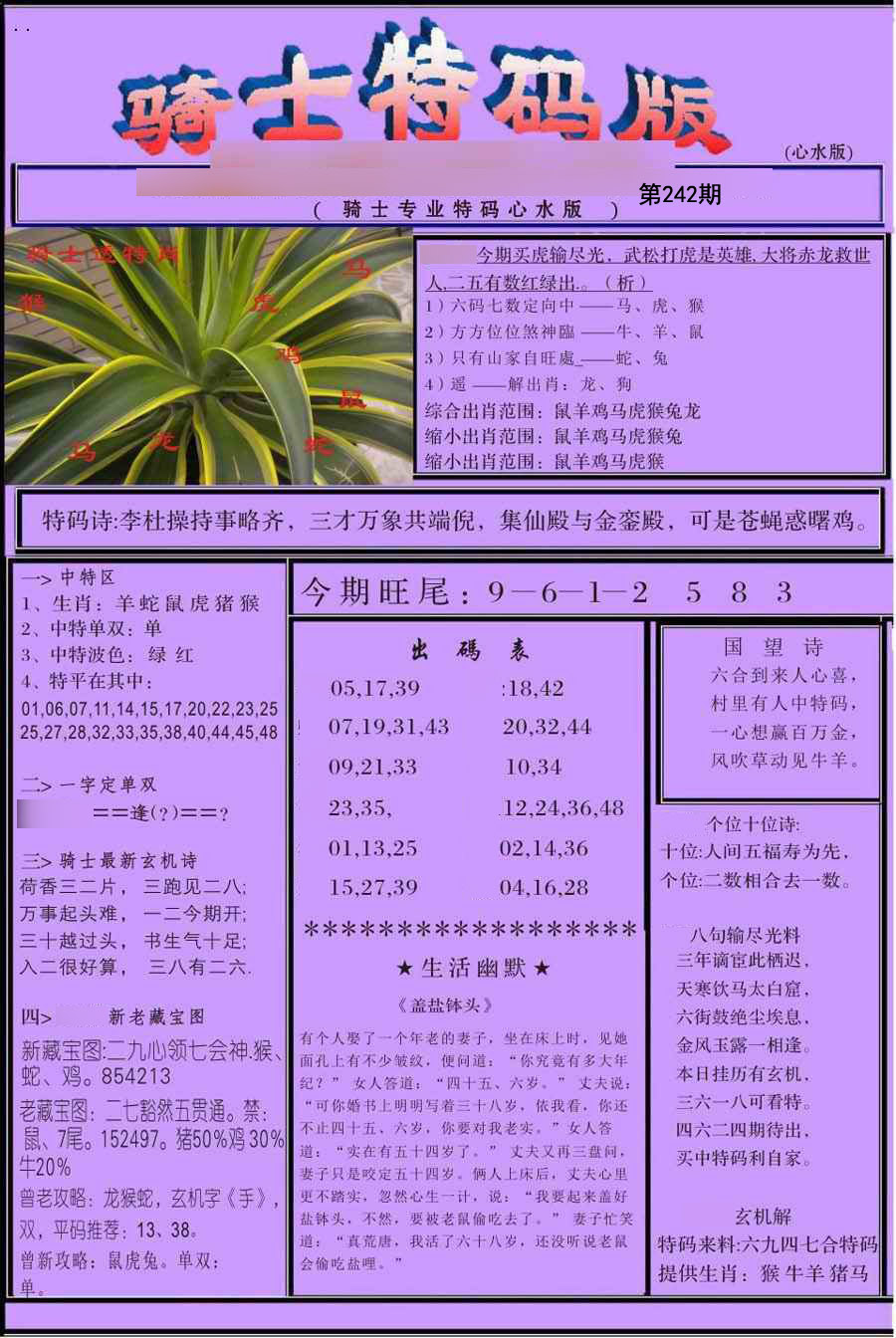 骑士特别