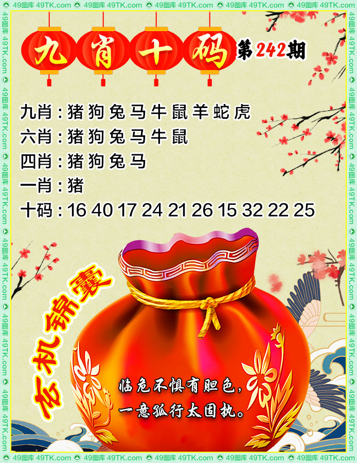 九肖十码
