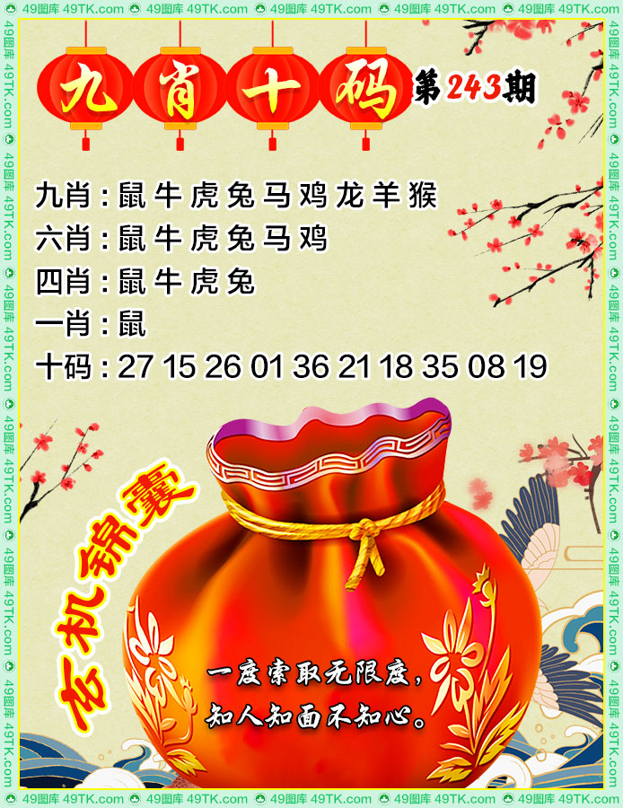 九肖十码