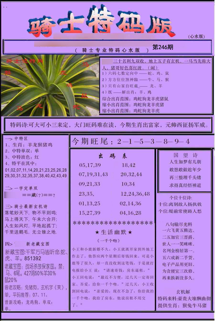 骑士特别