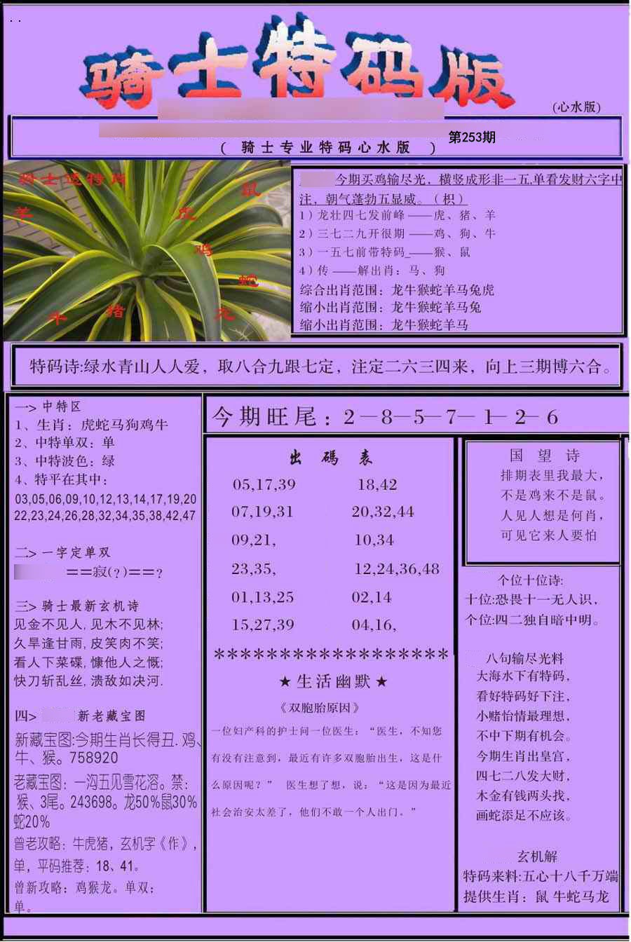 骑士特别