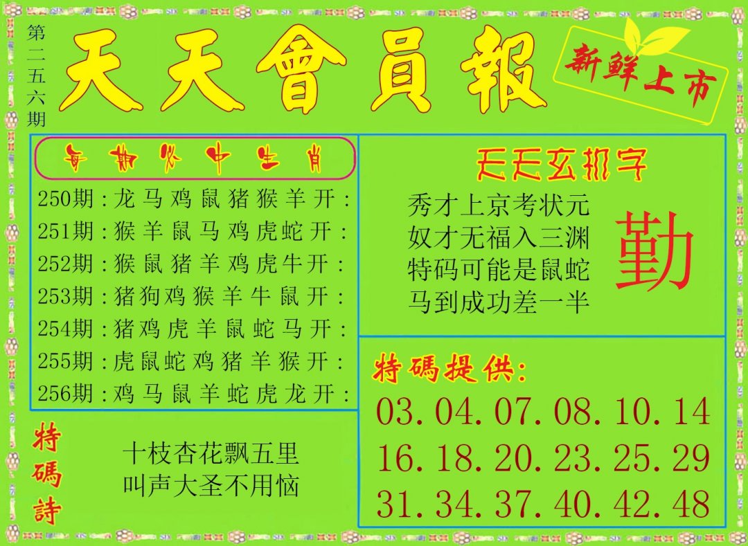天天会员