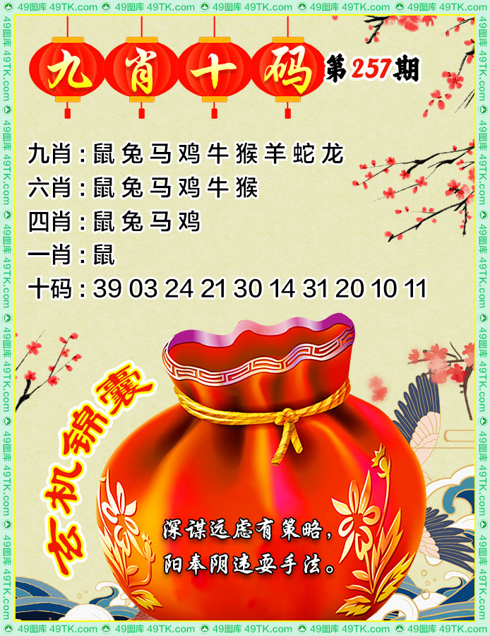 九肖十码