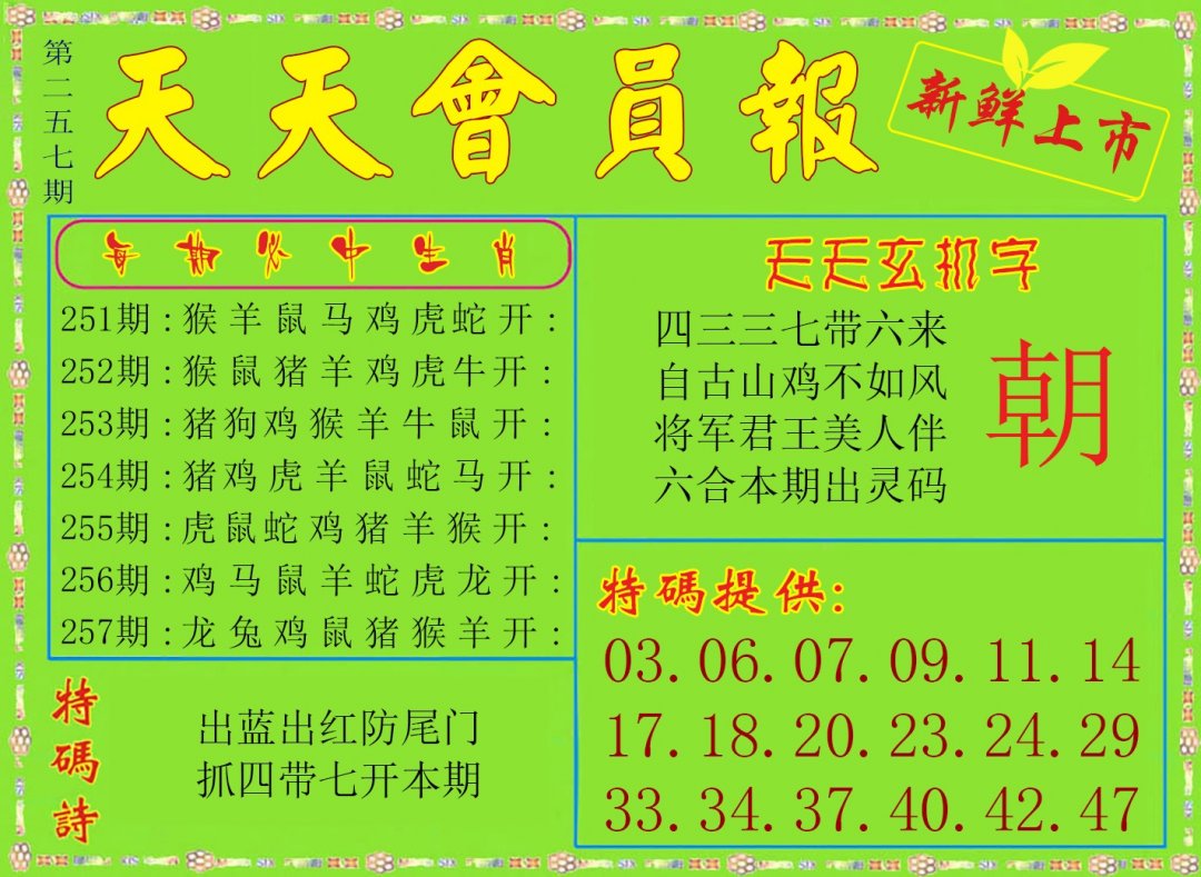 天天会员