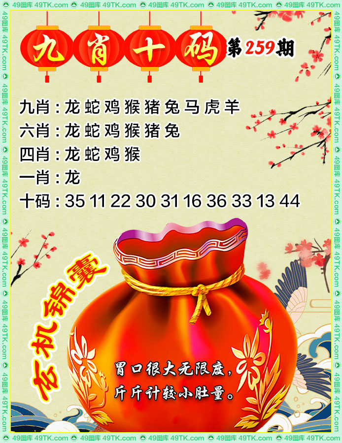 九肖十码
