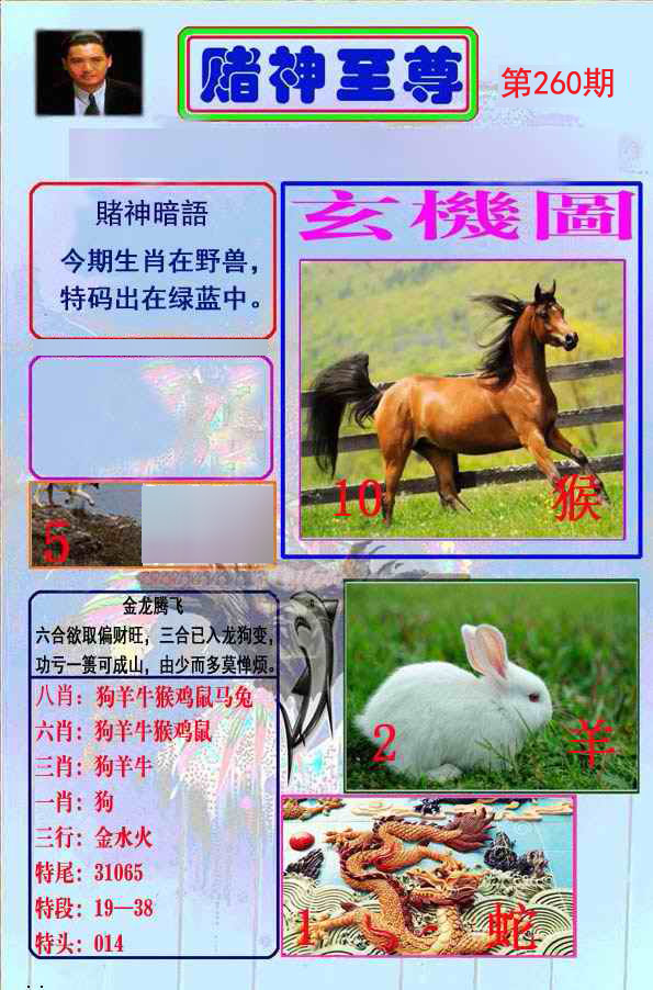 至尊报