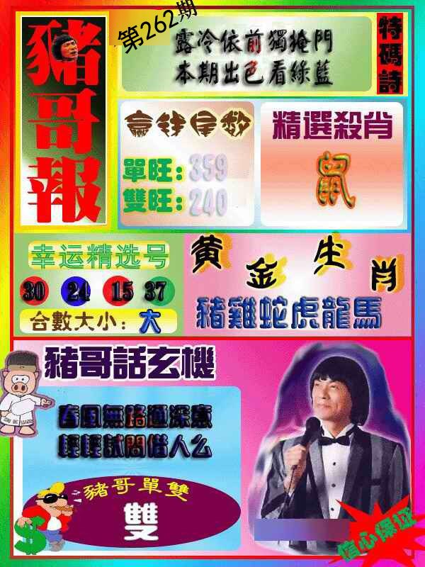 猪哥报