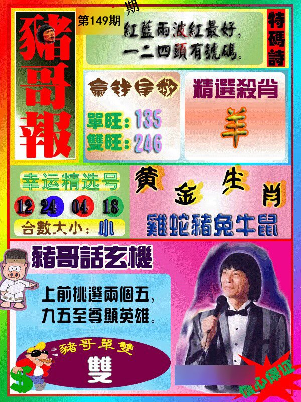 猪哥报