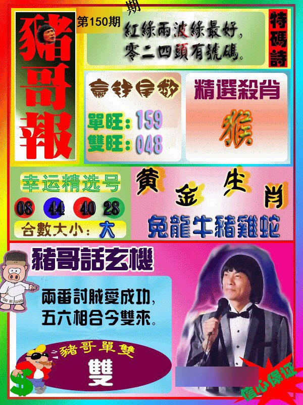 猪哥报