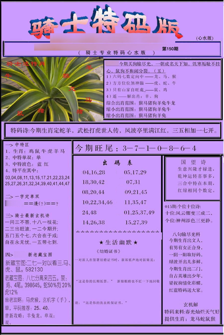 骑士特别