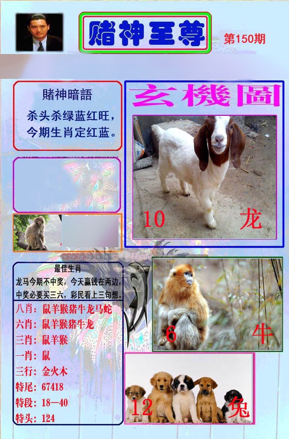 至尊报