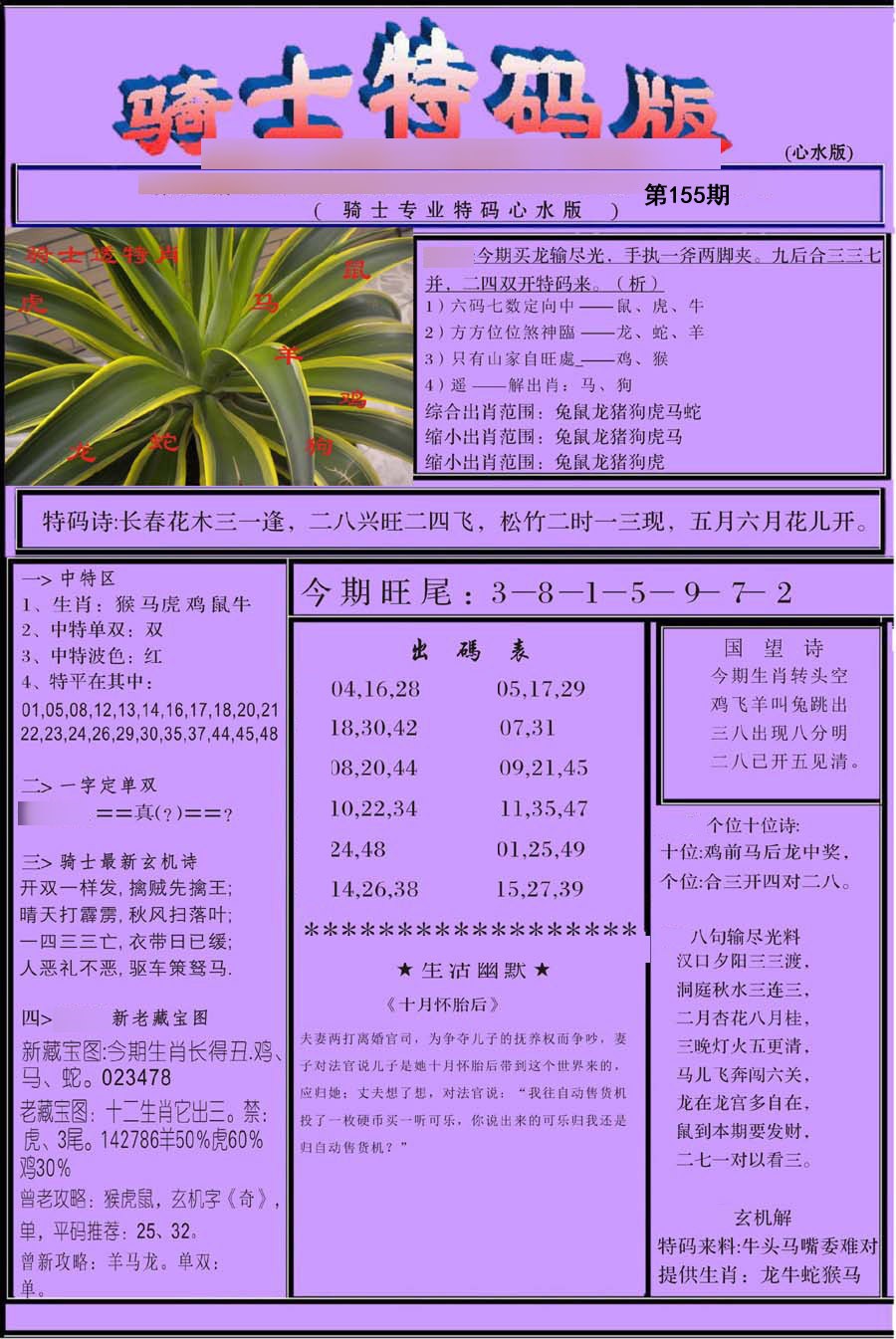 骑士特别