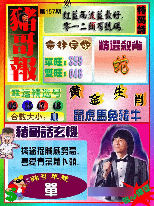 猪哥报