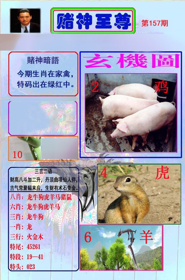至尊报