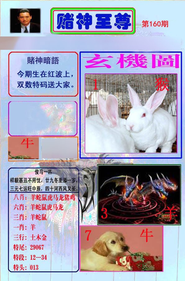 至尊报