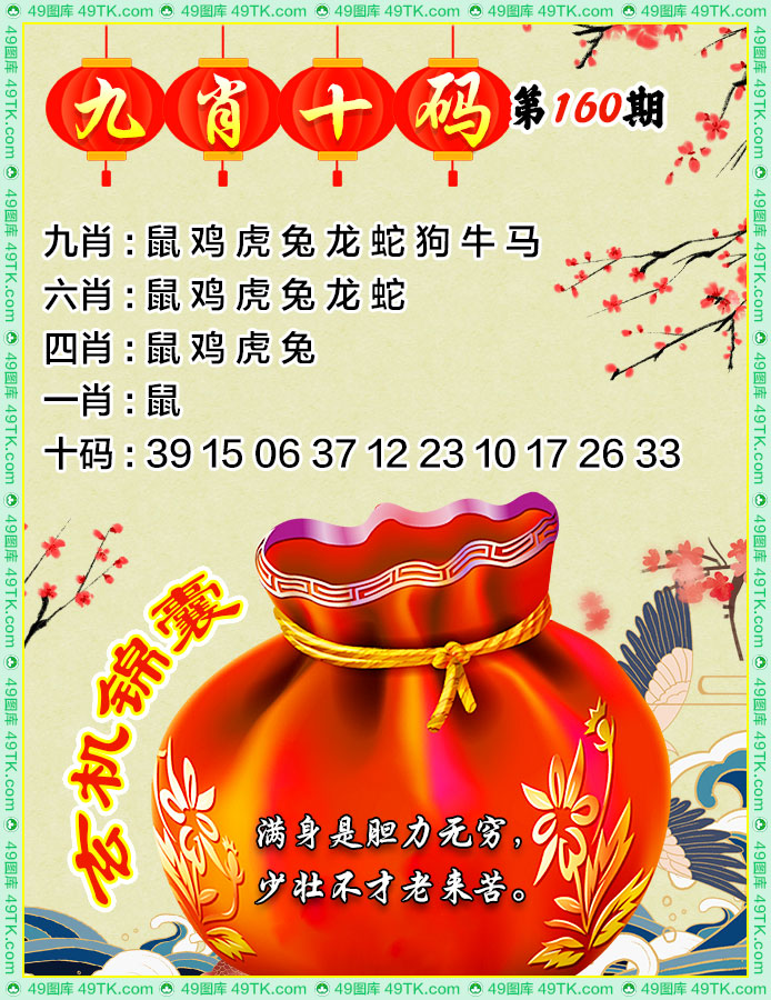 九肖十码